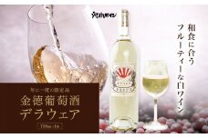 金徳葡萄酒　デラウエア 750ml×1本 750ml×1本 株式会社河内ワイン《30日以内に出荷予定(土日祝除く)》アルコール ワイン 酒 大阪府 羽曳野市