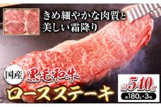 萬野総本店 国産 黒毛和牛 ロースステーキ 540g《30日以内に出荷予定(土日祝除く)》大阪府 羽曳野市 牛肉 ステーキ ロース 和牛 霜降り【配送不可地域あり】
