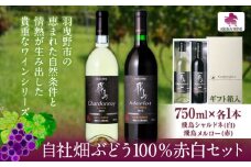 自社畑ぶどう100%赤白セット 750ml×2本 シャルドネ メルロー (株)飛鳥ワイン《30日以内に出荷予定(土日祝除く)》大阪府 羽曳野市 飛鳥ワイン 秀逸畑シリーズ アルコール ワイン 白ワイン 赤ワイン 酒 セット