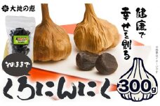 くろにんにく(そのままで) 300g《30日以内に出荷予定(土日祝除く)》大阪府 羽曳野市 ニンニク 黒ニンニク じゃんぼ大蒜 大蒜 健康 スタミナ