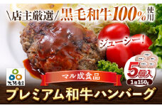 プレミアム和牛ハンバーグ 5個入 マル成食品《30日以内に出荷予定(土日祝除く)》大阪府 羽曳野市 牛肉 惣菜 おかず 冷凍 肉 ハンバーグ 黒毛和牛 st-p