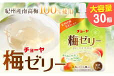 チョーヤ 梅ゼリー 180g × 30個 羽曳野商工振興株式会社《60日以内に出荷予定(土日祝除く)》大阪府 羽曳野市 梅酒 梅 酒 CHOYA チョーヤ チョーヤ梅酒 お酒 ゼリー