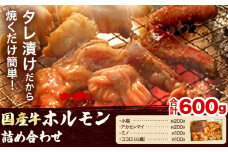 萬野総本店 ホルモン 国産牛 ホルモン 詰め合わせ 約600g《30日以内に出荷予定(土日祝除く)》大阪府 羽曳野市 牛肉 国産牛 小腸 アカセン アカセンマイ ミノ ココロ 心臓 焼肉 詰め合わせ セット【配送不可地域あり】