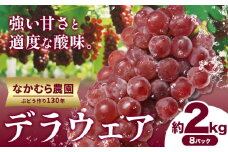デラウェア《大好評につき受付延長！！》デラウェア 選べる 約2kg(8パック) 有限会社なかむら農園《2025年6月上旬-7月下旬頃出荷》大阪府 羽曳野市 ぶどう ブドウ 葡萄 送料無料