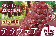 ぶどう【大好評につき受付延長！】デラウェア 約1kg(4パック) 有限会社なかむら農園《2025年6月上旬-7月下旬頃出荷》大阪府 羽曳野市 ぶどう ブドウ 葡萄 送料無料