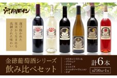 金徳葡萄酒 飲み比べセット マスカットベリーA デラウエア メルロ シャルドネ カベルネソーヴィニヨン ロゼ 各750ml×1本 計6本 株式会社河内ワイン《30日以内に出荷予定(土日祝除く)》大阪府 羽曳野市 ワイン 酒 アルコール 送料無料