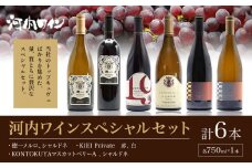 河内ワイン スペシャルセット 徳一メルロ シャルドネ KONTOKUYAマスカットベリーA シャルドネ KIEI Private 赤 白 各750ml×1本 計6本 株式会社河内ワイン《30日以内に出荷予定(土日祝除く)》大阪府 羽曳野市 ワイン 酒 アルコール 送料無料