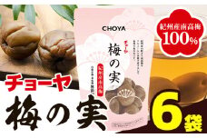 梅酒の梅「 梅の実 」500g × 6袋 セット 羽曳野商工振興株式会社《30日以内に出荷予定(土日祝除く)》大阪府 羽曳野市 梅酒 梅 酒 CHOYA チョーヤ チョーヤ梅酒 お酒 梅の実