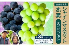 シャインマスカット 高妻【2025年先行予約】シャインマスカット 1房＆高妻 2房 計3房セット 約1.6kg~1.8kg 麻野農園 《2025年8月上旬-9月上旬頃出荷》 大阪府 羽曳野市 ぶどう 果物 フルーツ 葡萄 シャインマスカット 高妻 種なしぶどう