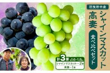 シャインマスカット 高妻【2025年先行予約】シャインマスカット 2房 ＆ 高妻 1房 計3房セット 約1.6kg~1.8kg 麻野農園 《2025年8月上旬-9月上旬頃出荷》 大阪府 羽曳野市 ぶどう 果物 フルーツ 葡萄 シャインマスカット 高妻 種なしぶどう