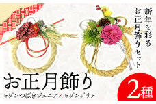 【先行予約】しめ飾り モダンつばきジュニア×モダンダリア 有限会社なかむら農園《12月中旬-下旬頃出荷》大阪府 羽曳野市 送料無料 正月飾り リース しめ縄 オシャレ モダン