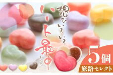 もなか 最中 ハート最中 想ひいろいろ 5個 旅路セレクト 株式会社あん庵《30日以内に出荷予定(土日祝除く)》大阪府 羽曳野市 送料無料 和菓子 あんこ 餡子 菓子 お菓子 お土産 贈り物 プレゼント スイーツ おやつ お取り寄せスイーツ