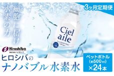 水素水【3ヶ月定期便】ナノバブル水素水 ペットボトル(約500ml)×24本 株式会社ヒロシバ《30日以内に出荷予定(土日祝除く)》大阪府 羽曳野市 送料無料 水素水 肌 美容 健康 水