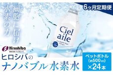 水素水【6ヶ月定期便】ナノバブル水素水 ペットボトル(約500ml)×24本 株式会社ヒロシバ《30日以内に出荷予定(土日祝除く)》大阪府 羽曳野市 送料無料 水素水 肌 美容 健康 水