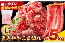 極上 厳選 黒毛和牛 こま切れ 約5kg 牛魔王デミート《30日以内に出荷予定(土日祝除く)》大阪府 羽曳野市 送料無料 牛肉 牛 和牛 小分け