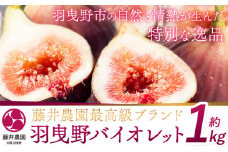 いちじく【2025年先行予約】いちじく 羽曳野バイオレット約 1kg 9個 もしくは 12個 藤井農園《2025年8月中旬-10月中旬に出荷予定(土日祝除く)》大阪府 羽曳野市 いちじく 無花果 フルーツ 果物 高級 ブランド