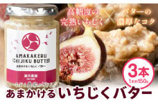 いちじく バター あまかける いちじくバター 3本セット (1本約150g) 藤井農園《30日以内に出荷予定(土日祝除く)》大阪府 羽曳野市 送料無料 イチジク イチジクバター 無花果 フルーツ 果物 加工品 調味料 お取り寄せ