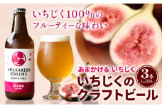 いちじくのクラフトビール 3本セット 330ml × 3本 藤井農園《30日以内に出荷予定(土日祝除く)》大阪府 羽曳野市 いちじく ビール 酒 イチジク 飲み物 ドリンク