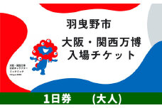 大阪関西万博 入場 チケット 一日券 大人《30日以内に出荷予定（土日祝除く）》【2025年 日本国際博覧会 expo 大阪 関西 日本 万博 夢洲 修学旅行 校外学習 ミャクミャク 入場券 パビリオン 観光 世界文化 未来社会 環境問題 おおさか 】※プルダウンよりお選びください！