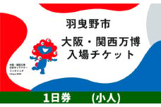 大阪関西万博 入場 チケット 一日券 小人《30日以内に出荷予定（土日祝除く）》【2025年 日本国際博覧会 expo 大阪 関西 日本 万博 夢洲 修学旅行 校外学習 ミャクミャク 入場券 パビリオン 観光 世界文化 未来社会 環境問題 おおさか 】※プルダウンよりお選びください！