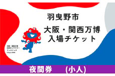大阪関西万博 入場 チケット 夜間券 小人《30日以内に出荷予定（土日祝除く）》【2025年 日本国際博覧会 expo 大阪 関西 日本 万博 夢洲 修学旅行 校外学習 ミャクミャク 入場券 パビリオン 観光 世界文化 未来社会 環境問題 おおさか 】