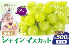 シャイン【数量限定】訳あり シャインマスカット 約500g 《2025年8月上旬-8月下旬頃出荷》訳あり シャインマスカット マスカット ぶどう フルーツ 果物 大阪府 羽曳野市 シャイン 食べやすい