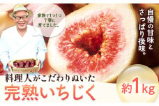 いちじく【大好評につき受付延長！】料理人がこだわりぬいた 完熟いちじく1箱1kg ／ 無花果 イチジク 桝井ドーフィン はびいち農園《2025年8月上旬-10月中旬頃出荷》大阪府 羽曳野市 果物 フルーツ 送料無料 大阪府