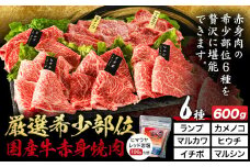 厳選希少部位国産牛赤身焼肉6種セット 約600g (株)仲辻《30日以内に出荷予定(土日祝除く)》大阪府 羽曳野市 希少部位 厳選 赤身 国産牛 肉 牛肉 ランプ カメノコ マルカワ ヒウチ イチボ マルシン