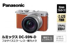 パナソニック フルサイズミラーレス一眼カメラ ルミックス DC-S9N-D【 デジタルカメラ 大阪府 門真市 】