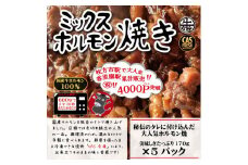 ＜チンするだけ！＞【秘伝のタレ漬け】国産牛ミックスホルモン焼き850ｇ（170ｇ×5パック）［鮮度を保つCAS冷凍］【 大阪府 門真市 】