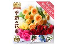 【定期便 12か月】季節のお花 定期便（12か月）【季節　お花 一年間　毎月季節　切り花　ご自宅、職場　明るく華やか　お花パワー　季節のご挨拶に　お手入れ説明書　延命剤付　 大阪府 門真市 】