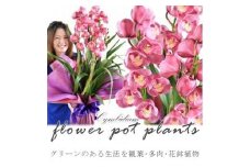 【定期便 12か月】グリーンのある生活を観葉・多肉・花鉢植物（12か月）【グリーン ご自宅インテリア　会社の受付　毎月届く　心が元気　豊かな毎日　お手入れ説明書付き　アジサイ 大阪府 門真市 】