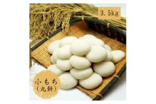 小もち（丸餅）3kg【小もち（丸餅）　和菓子職人 コシの強さ 近江米100% もち米 ぜんざい そのまま焼く 荷崩れしにくい 大阪府 門真市 】