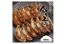 金太郎餃子（薄皮あっさり餃子）２８０個入り【餃子 ぎょうざ ギョウザ ギョーザ 中華惣菜 中華点心 お中元 野菜餃子 大阪府 門真市 】