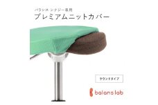 バランスシナジー専用プレミアムニットカバー（ライトグリーン）ラウンドシート用 はっ水加工【 バランスシナジー カバー 大阪府 門真市 】