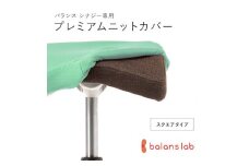バランスシナジー専用プレミアムニットカバー（ライトグリーン）スクエアシート用 はっ水加工【 バランス シナジー カバー 大阪府 門真市 】