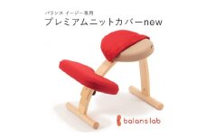 バランスイージー専用プレミアムニットカバーnew（レッド）はっ水加工【 バランスイージー カバー 大阪府 門真市 】