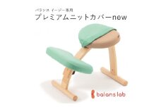 バランスイージー専用プレミアムニットカバーnew（ライトグリーン）はっ水加工【 バランスイージー カバー 大阪府 門真市 】