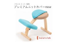 バランスイージー専用プレミアムニットカバーnew（ライトブルー）はっ水加工【 バランスイージー カバー 大阪府 門真市 】