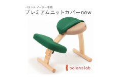 バランスイージー専用プレミアムニットカバーnew（グリーン）はっ水加工【 バランスイージー カバー 大阪府 門真市 】
