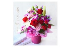 《敬老の日》フラワーアレンジメント 紅色グレイス＜出荷開始：9/8～9/15までのお届け 当店おまかせ＞【 花 お祝い お礼 贈り物 メッセージカード 祖母 祖父 ギフト プレゼント 送料無料 ふるさと納税 門真市】