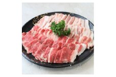 国産牛豚焼肉用盛り合わせ【1587673】