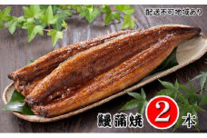 ＜2尾＞活鰻　おいしいうな丼が作れる国産うなぎ蒲焼2本(タレ2ヶ入)【1376345】