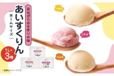＜バナナ・バニラ・イチゴ＞あいすくりん1リットル3種セット　ホームサイズ【1469219】