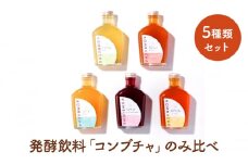 お茶の発酵飲料　KOMBUCHA(コンブチャ)飲み比べセット【1457515】