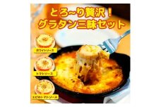 レンジで簡単!濃厚とろける　3種の贅沢グラタン(ホワイトソース・トマトソース・エビのトマトソース)　【1494983】