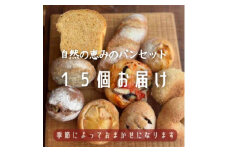 ＜15個入り＞パン屋kotubuの自然の恵みのパンセット(大)【1352138】
