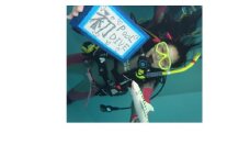 ＜Cカードライセンス不要＞BIG BLUE　ダイビング専用温水プールで体験ダイビング【1489916】