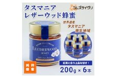 タスマニア　レザーウッド蜂蜜　6本セット【1499410】