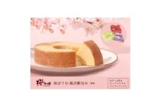 ＜桜珈琲＞桜ばうむ 風呂敷包み 無地(カラーお任せ)【1501030】